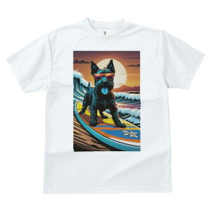 XRb`eA TVc  j[NfUCfB[X t@  t vg lJWA 킢 lԗp Mtg I ҏ΍ g XRb`eA T[tB C z