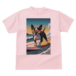 {XgeA TVc  j[NfUCfB[X t@  t vg lJWA 킢 lԗp Mtg I ҏ΍ T[tB {XgeA g C 