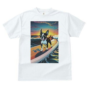 {XgeA TVc  j[NfUCfB[X t@  t vg lJWA 킢 lԗp Mtg I ҏ΍ T[tB {XgeA C g [Ă