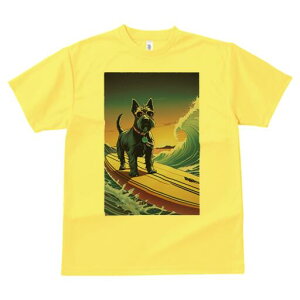 XReBbVeA TVc  j[NfUCfB[X t@  t vg lJWA 킢 lԗp Mtg I ҏ΍ T[tB XReBbVeA 