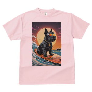 XReBbVeA TVc  j[NfUCfB[X t@  t vg lJWA 킢 lԗp Mtg I ҏ΍ T[tB XReBbVeA 