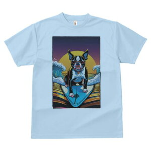 {XgeA TVc  j[NfUCfB[X t@  t vg lJWA 킢 lԗp Mtg I ҏ΍ g {XgeA T[tB TOX 