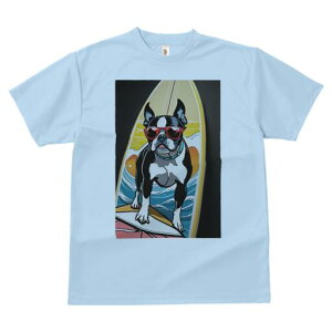 {XgeA TVc  j[NfUCfB[X t@  t vg lJWA 킢 lԗp Mtg I ҏ΍ T[t{[h {XgeA TOX 