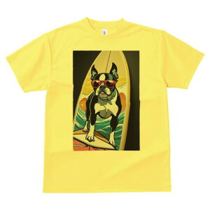 {XgeA TVc  j[NfUCfB[X t@  t vg lJWA 킢 lԗp Mtg I ҏ΍ T[t{[h {XgeA TOX 