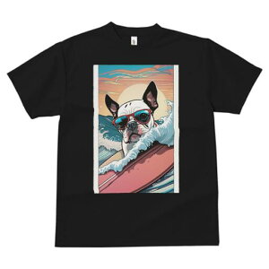 {XgeA TVc  j[NfUCfB[X t@  t vg lJWA 킢 lԗp Mtg I ҏ΍ T[tB {XgeA g TOX 