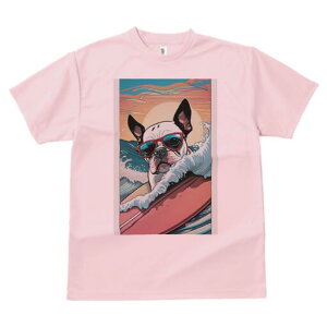 {XgeA TVc  j[NfUCfB[X t@  t vg lJWA 킢 lԗp Mtg I ҏ΍ T[tB {XgeA g TOX 