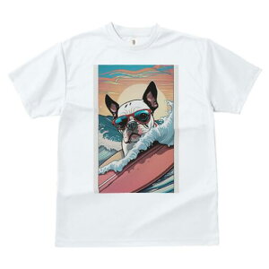 {XgeA TVc  j[NfUCfB[X t@  t vg lJWA 킢 lԗp Mtg I ҏ΍ T[tB {XgeA g TOX 