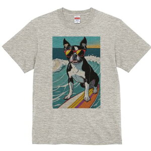 {XgeA TVc  j[NfUCfB[X t@  t vg lJWA 킢 lԗp Mtg I ҏ΍ T[tB {XgeA C g TO