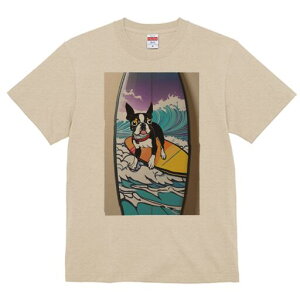 {XgeA TVc  j[NfUCfB[X t@  t vg lJWA 킢 lԗp Mtg I ҏ΍ T[tB {XgeA g C