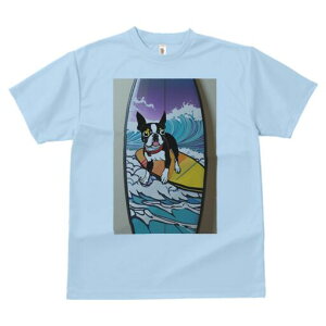 {XgeA TVc  j[NfUCfB[X t@  t vg lJWA 킢 lԗp Mtg I ҏ΍ T[tB {XgeA g C