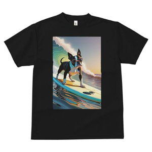 {XgeA TVc  j[NfUCfB[X t@  t vg lJWA 킢 lԗp Mtg I ҏ΍ g {XgeA T[tB C TO