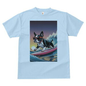 {XgeA TVc  j[NfUCfB[X t@  t vg lJWA 킢 lԗp Mtg I ҏ΍ T[tB {XgeA g C z