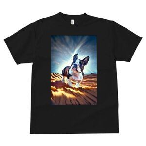 {XgeA TVc  j[NfUCfB[X t@  t vg lJWA 킢 lԗp Mtg I ҏ΍  {XgeA  