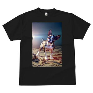 {XgeA TVc  j[NfUCfB[X t@  t vg lJWA 킢 lԗp Mtg I ҏ΍  {XgeA