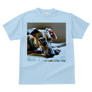 C^AO[nEh TVc  j[NfUCfB[X t@  t vg lJWA 킢 lԗp Mtg I ҏ΍  C^AO[nEh 