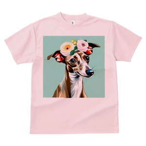 C^AO[nEh TVc  j[NfUCfB[X t@  t vg lJWA 킢 lԗp Mtg I ҏ΍  C^AO[nEh 