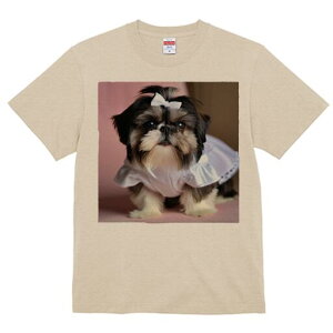 V[Y[ TVc  j[NfUCfB[X t@  t vg lJWA 킢 lԗp Mtg I ҏ΍ { V[Y[ 