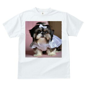 V[Y[ TVc  j[NfUCfB[X t@  t vg lJWA 킢 lԗp Mtg I ҏ΍ { V[Y[ 