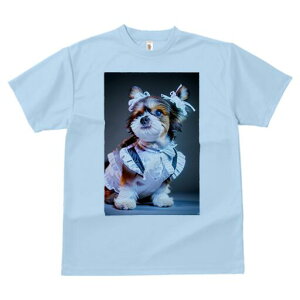 V[Y[ TVc  j[NfUCfB[X t@  t vg lJWA 킢 lԗp Mtg I ҏ΍ Ch V[Y[ {