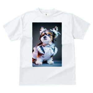 V[Y[ TVc  j[NfUCfB[X t@  t vg lJWA 킢 lԗp Mtg I ҏ΍ Ch V[Y[ {