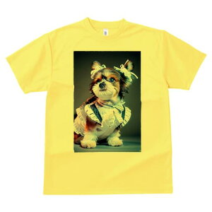 V[Y[ TVc  j[NfUCfB[X t@  t vg lJWA 킢 lԗp Mtg I ҏ΍ Ch V[Y[ {