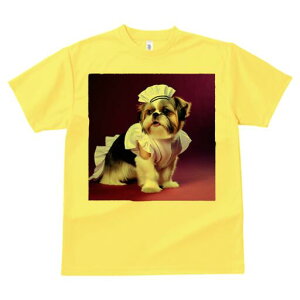 V[Y[ TVc  j[NfUCfB[X t@  t vg lJWA 킢 lԗp Mtg I ҏ΍ Ch V[Y[ Xq