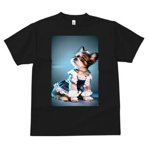 V[Y[ TVc  j[NfUCfB[X t@  t vg lJWA 킢 lԗp Mtg I ҏ΍ Ch V[Y[