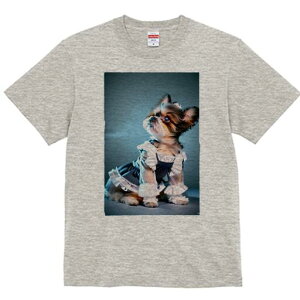 V[Y[ TVc  j[NfUCfB[X t@  t vg lJWA 킢 lԗp Mtg I ҏ΍ Ch V[Y[