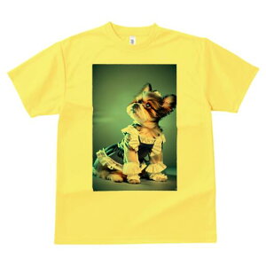 V[Y[ TVc  j[NfUCfB[X t@  t vg lJWA 킢 lԗp Mtg I ҏ΍ Ch V[Y[