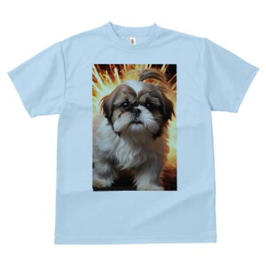 V[Y[ TVc  j[NfUCfB[X t@  t vg lJWA 킢 lԗp Mtg I ҏ΍ V[Y[