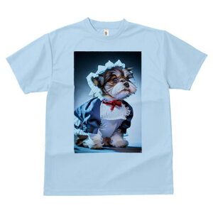 V[Y[ TVc  j[NfUCfB[X t@  t vg lJWA 킢 lԗp Mtg I ҏ΍ Ch V[Y[ {