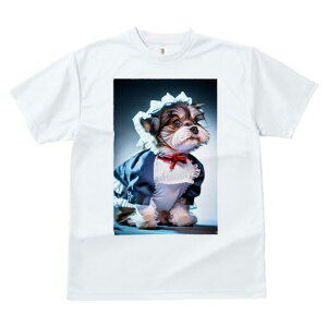 V[Y[ TVc  j[NfUCfB[X t@  t vg lJWA 킢 lԗp Mtg I ҏ΍ Ch V[Y[ {