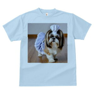 V[Y[ TVc  j[NfUCfB[X t@  t vg lJWA 킢 lԗp Mtg I ҏ΍ Ch V[Y[ Xq