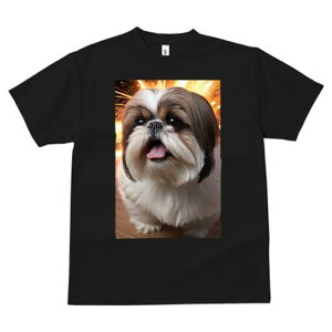 V[Y[ TVc  j[NfUCfB[X t@  t vg lJWA 킢 lԗp Mtg I ҏ΍ V[Y[