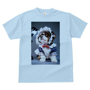 V[Y[ TVc  j[NfUCfB[X t@  t vg lJWA 킢 lԗp Mtg I ҏ΍ Ch V[Y[ {