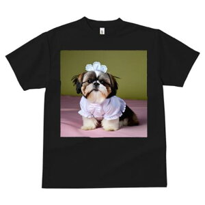 V[Y[ TVc  j[NfUCfB[X t@  t vg lJWA 킢 lԗp Mtg I ҏ΍ Ch V[Y[ [X