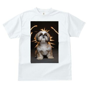 V[Y[ TVc  j[NfUCfB[X t@  t vg lJWA 킢 lԗp Mtg I ҏ΍ wi V[Y[  Xp[N