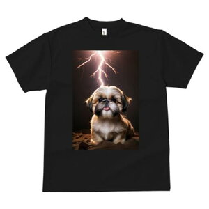 V[Y[ TVc  j[NfUCfB[X t@  t vg lJWA 킢 lԗp Mtg I ҏ΍  V[Y[