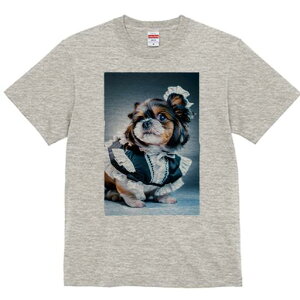 V[Y[ TVc  j[NfUCfB[X t@  t vg lJWA 킢 lԗp Mtg I ҏ΍ Ch V[Y[ t