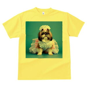 V[Y[ TVc  j[NfUCfB[X t@  t vg lJWA 킢 lԗp Mtg I ҏ΍ RX`[ V[Y[ Gv Xq {