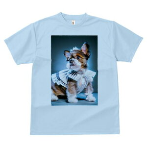 V[Y[ TVc  j[NfUCfB[X t@  t vg lJWA 킢 lԗp Mtg I ҏ΍ Ch V[Y[ t