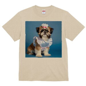 V[Y[ TVc  j[NfUCfB[X t@  t vg lJWA 킢 lԗp Mtg I ҏ΍ RX`[ V[Y[