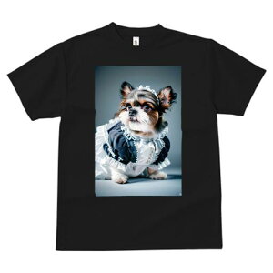 V[Y[ TVc  j[NfUCfB[X t@  t vg lJWA 킢 lԗp Mtg I ҏ΍ Ch V[Y[ t