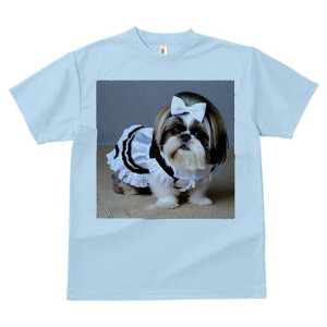 V[Y[ TVc  j[NfUCfB[X t@  t vg lJWA 킢 lԗp Mtg I ҏ΍ Ch V[Y[ {