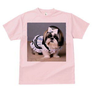 V[Y[ TVc  j[NfUCfB[X t@  t vg lJWA 킢 lԗp Mtg I ҏ΍ Ch V[Y[ {