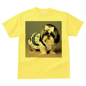 V[Y[ TVc  j[NfUCfB[X t@  t vg lJWA 킢 lԗp Mtg I ҏ΍ Ch V[Y[ {