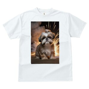 V[Y[ TVc  j[NfUCfB[X t@  t vg lJWA 킢 lԗp Mtg I ҏ΍ ԉ V[Y[ 