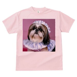 V[Y[ TVc  j[NfUCfB[X t@  t vg lJWA 킢 lԗp Mtg I ҏ΍ Ch V[Y[ t