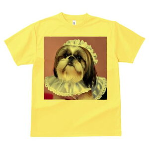 V[Y[ TVc  j[NfUCfB[X t@  t vg lJWA 킢 lԗp Mtg I ҏ΍ Ch V[Y[ t