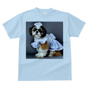 V[Y[ TVc  j[NfUCfB[X t@  t vg lJWA 킢 lԗp Mtg I ҏ΍ Ch V[Y[ RX`[